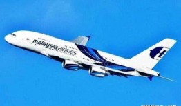 马航370最新爆料,最新爆料揭示惊人真相