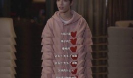 肖战感情爆料视频大全最新,揭秘爆料视频背后的真相与争议