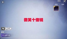 最新小转盘皮肤爆料,小转盘爆料来袭，神秘角色即将亮相！