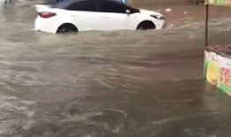 最新台风爆料新闻视频,揭秘“XX”台风的最新路径与影响