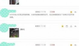 最新爆料附近,附近神秘项目最新进展，真相即将揭晓！”