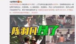 网红湾最新爆料事件视频,事件视频揭秘惊人内幕