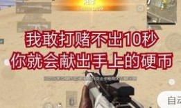 codm职业最新爆料,揭秘新赛季神秘英雄与战术革新