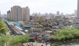 上海普陀最新爆料,揭秘上海普陀区最新动态与热点事件