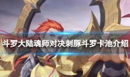 魂师对决最新卡池爆料表,神秘新卡登场，战力升级一触即发！