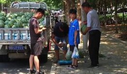 息县吃瓜群众爆料最新消息,吃瓜群众揭秘惊人内幕