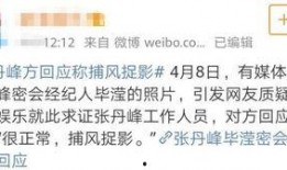 大瓜爆料预告最新版下载,揭秘娱乐圈独家猛料，独家下载通道开启！