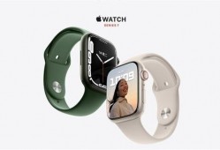 最新苹果手表爆料软件,颠覆性功能即将亮相，揭秘未来智能穿戴新篇章！”