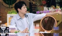 王源黑粉最新爆料视频播放,揭秘背后惊人真相