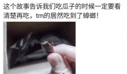 吃瓜子最新事件爆料,最新事件揭秘，吃瓜群众热议不断