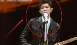 王源黑粉最新爆料视频播放,揭秘背后惊人真相