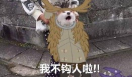 鹿头最新皮肤爆料,梦幻鹿角，神秘森林探险之旅