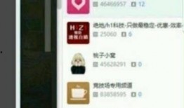 申艺灿最新爆料,揭秘娱乐圈惊人内幕！