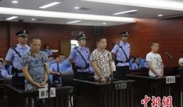 广西防城港爆料案件最新,案情揭秘，警方全力侦破中”