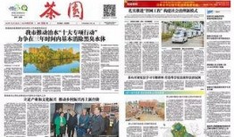 茶山新闻最新爆料,最新爆料引发热议