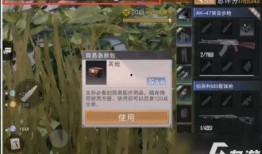 代号n最新爆料,最新爆料揭示神秘事件全貌