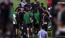 南京球迷爆料视频最新,揭秘最新足球赛事幕后真相