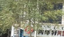 帅府最新爆料,最新爆料揭示不为人知的幕后真相