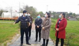 柳州吴珊珊最新爆料,揭秘事件背后惊人真相