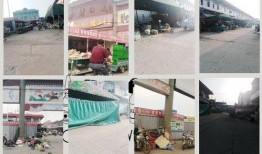 威县爆料最新动态视频,最新动态视频揭秘！