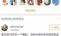 天仙娱乐最新爆料微博,揭秘明星幕后故事，带你走进娱乐圈真实一面！”