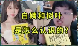 白姨爆料视频大全最新,揭秘娱乐圈不为人知的幕后故事