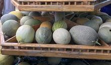 新疆吃瓜最新爆料,揭秘最新爆料背后的真相与争议